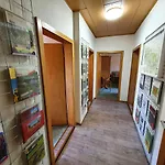 Am Wald - Einzelstandort Mit Wallbox * Hasselfelde