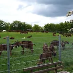 Am Wald - Einzelstandort Mit Wallbox