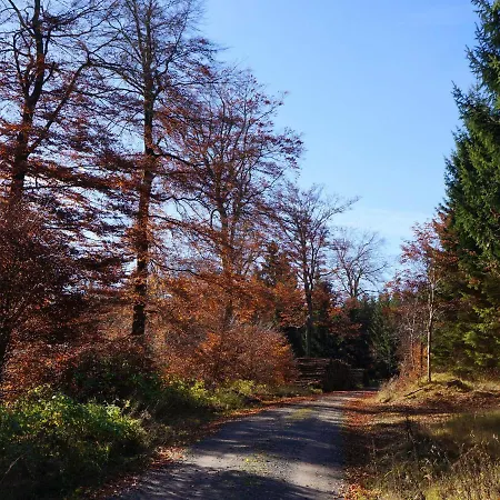 Apartment Am Wald - Einzelstandort Mit Wallbox *