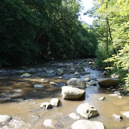 Am Wald - Einzelstandort Mit Wallbox * Hasselfelde