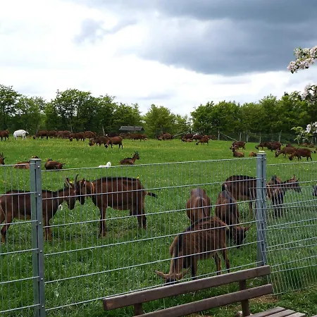 Am Wald - Einzelstandort Mit Wallbox