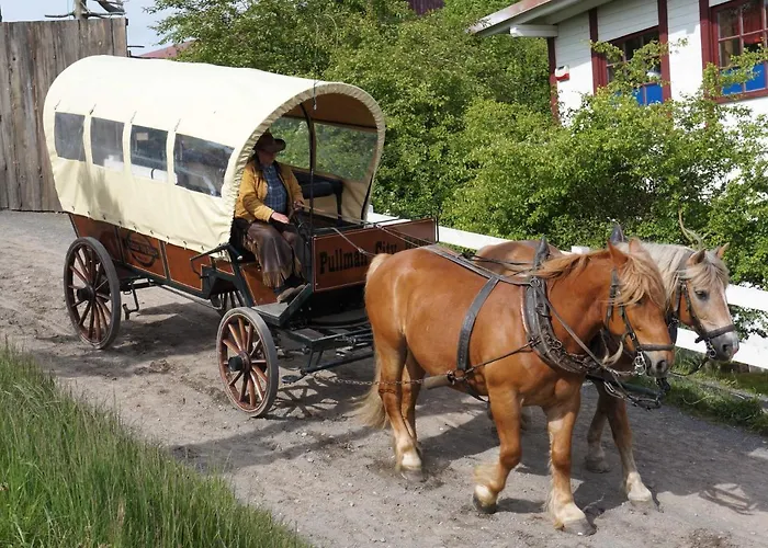 Am Wald - Einzelstandort Mit Wallbox * Hasselfelde