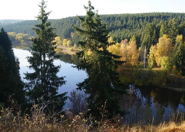 Am Wald - Einzelstandort Mit Wallbox * Hasselfelde