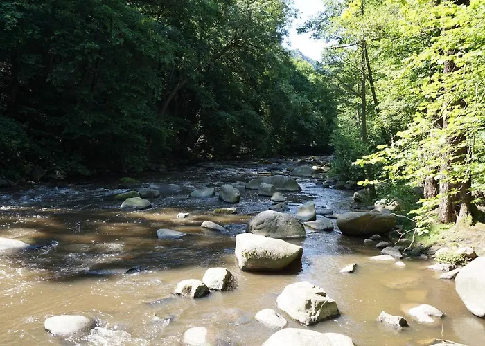 Am Wald - Einzelstandort Mit Wallbox * Hasselfelde
